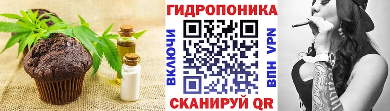 цены наркотик  Моздок  Cannafood марихуана 